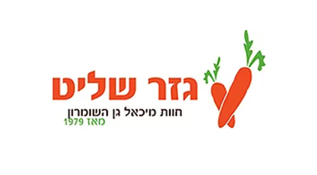 gezer-shallit